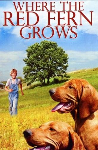 Where the Red Fern Grows (1974)