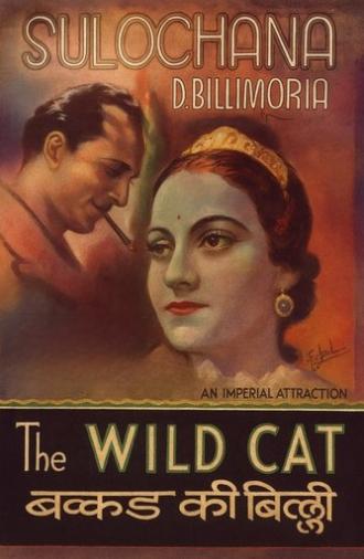 Wildcat of Bombay (1926)