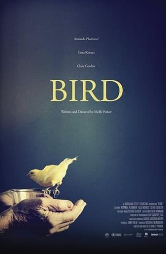 Bird (2017)