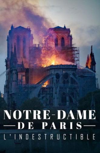 Notre-Dame de Paris, l'indestructible (2020)