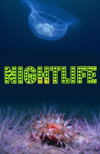 Nightlife (1976)