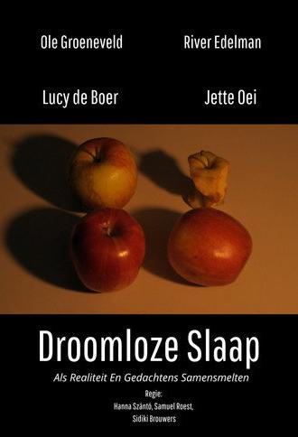 Droomloze Slaap (2026)