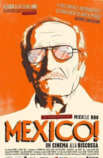 Mexico! Un cinema alla riscossa (2017)