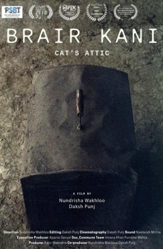 Cat's Attic (2023)