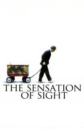 The Sensation of Sight (2006)