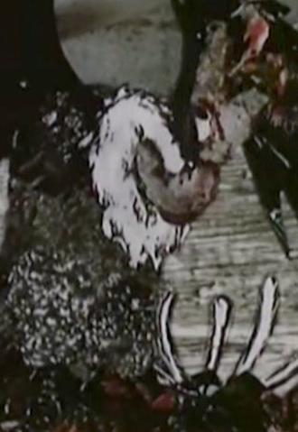 Czas sępa (1987)