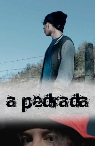A Pedrada (2026)