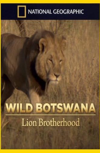 Lion Brotherhood (2013)