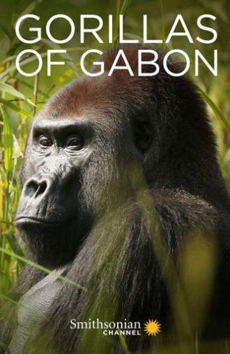 Gorillas of Gabon (2019)