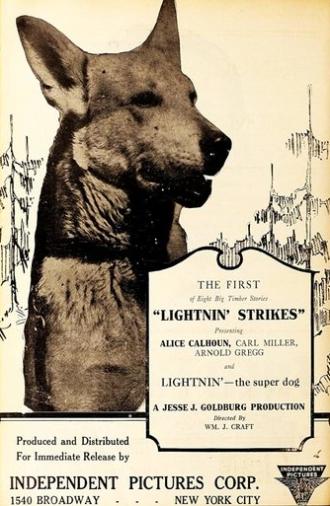 Lightnin' Strikes (1925)