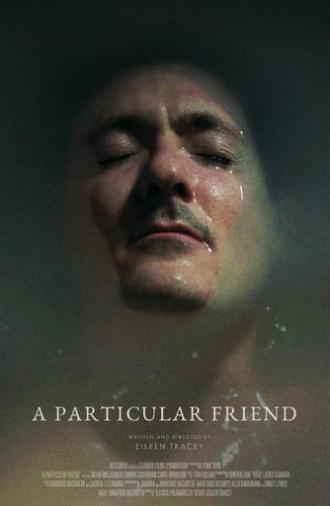 A Particular Friend (2023)