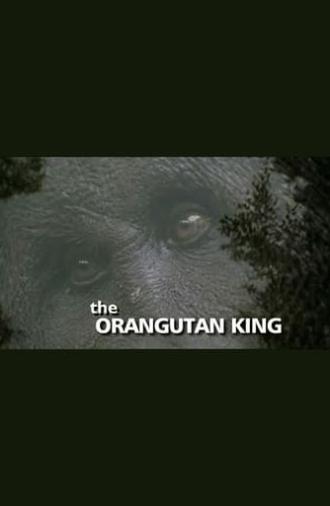 The Orangutan King (2005)