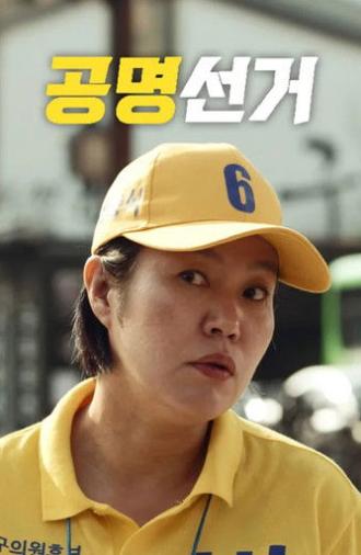 Fair Election (2019)