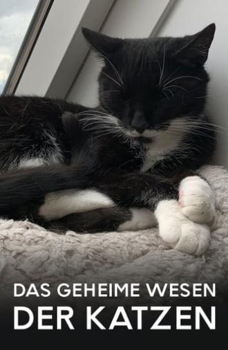 Das geheime Wesen der Katzen (2021)