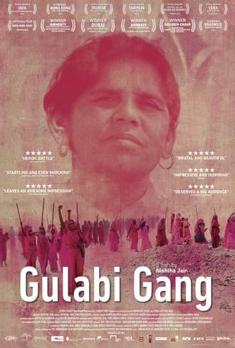 Gulabi Gang (2012)