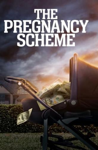 The Pregnancy Scheme (2023)