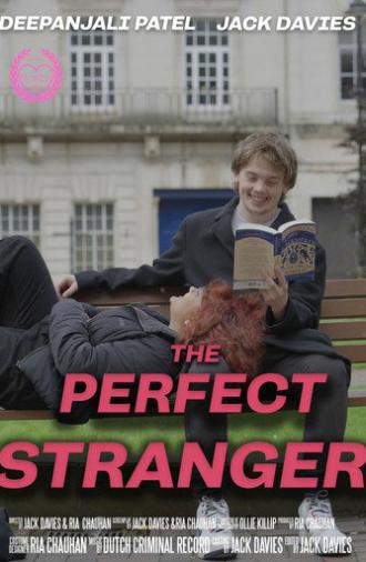 The Perfect Stranger (2024)
