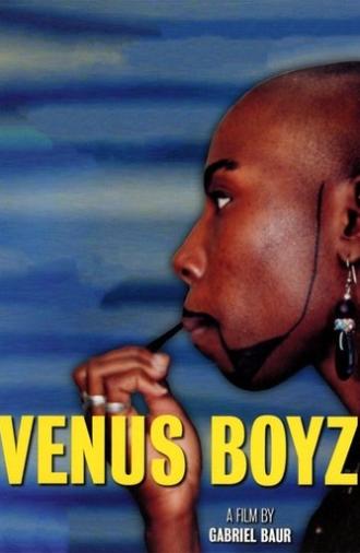 Venus Boyz (2002)