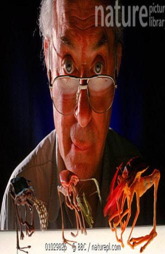 Natural History of an Alien (1998)