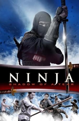 Ninja: Shadow of a Tear (2013)