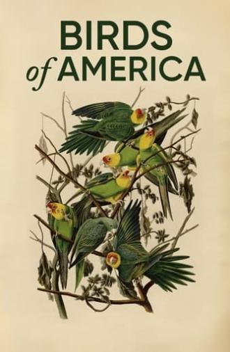 Birds of America (2022)