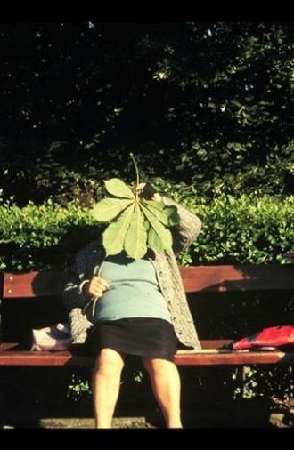 Past Perfect (2002)