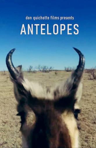 Antelopes (2020)