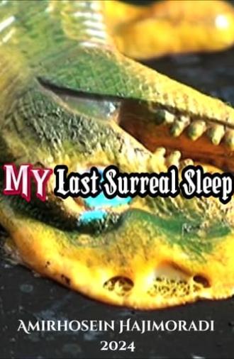 My Last Surreal Sleep (2024)