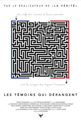 Les témoins qui dérangent (2016)