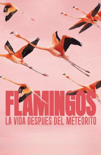 Flamingos: Life After the Meteorite (2026)