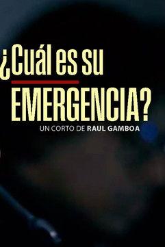 ¿Cuál es su emergencia? (2025)