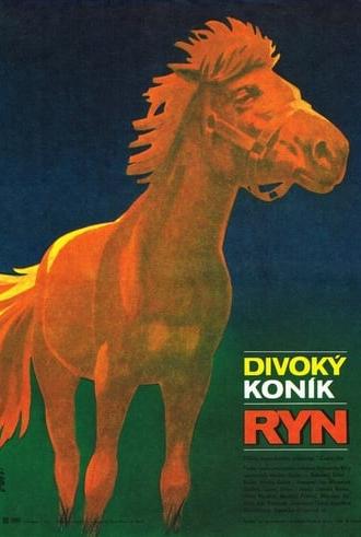 Divoký koník Ryn (1982)