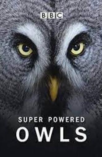 Super Powered Owls (2015)