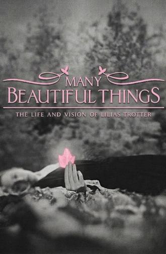 Many Beautiful Things (2015)