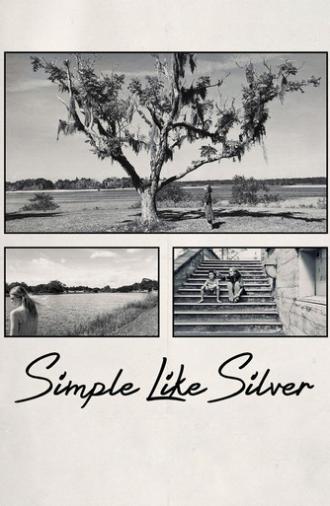 Simple Like Silver (2021)