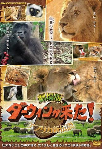 Darwin is here! new african legend (2019)