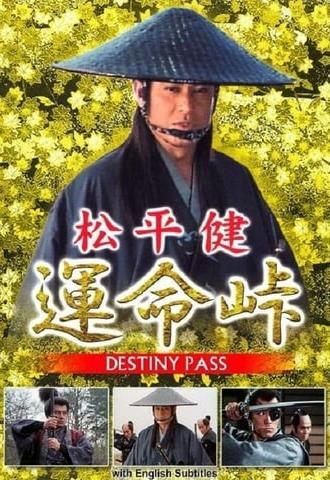Destiny Pass (1993)