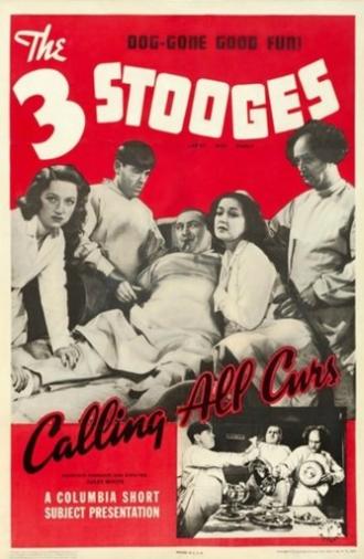 Calling All Curs (1939)