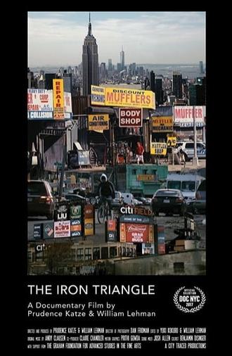 The Iron Triangle: Willets Point and the Remaking of New York (2017)
