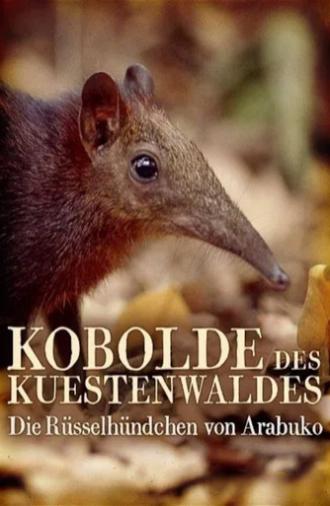 Rainforest Pixies: The Mysterious Rhynchocyon Shrew of Arabuko (2007)