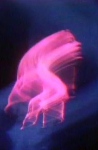 Terminal Self (1972)