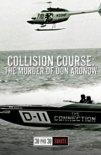 Collision Course: The Murder of Don Aronow (2013)
