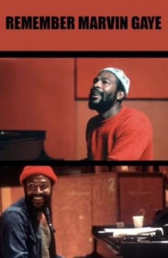 Remember Marvin Gaye (2002)