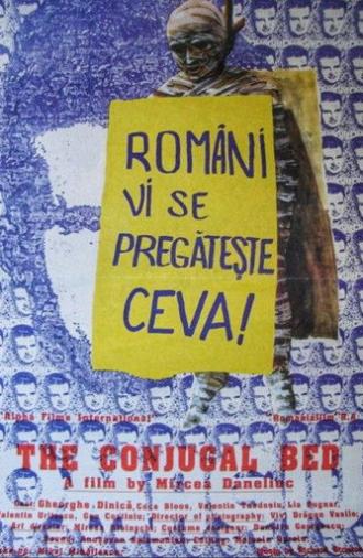 The Conjugal Bed (1993)
