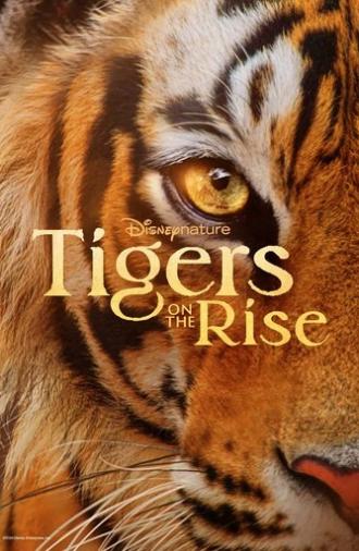 Tigers on the Rise (2024)