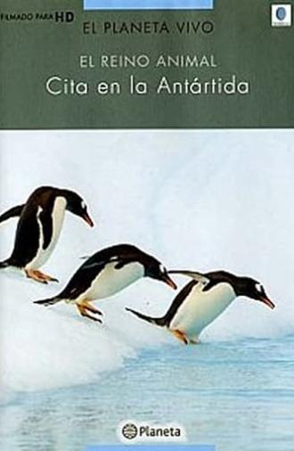 Rush Hour in Antarctica (2004)