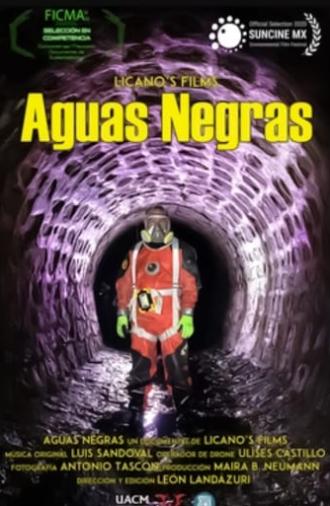 Aguas Negras (2020)