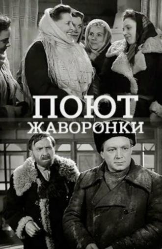 Поют жаворонки (1953)