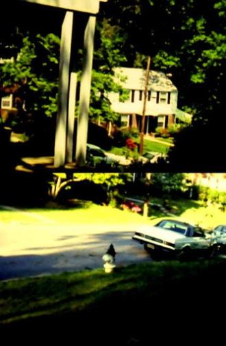 DC '82 Home (1982)