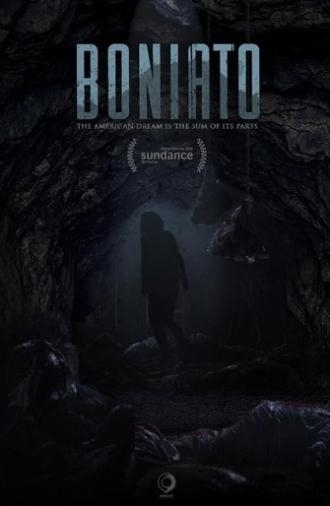 Boniato (2016)